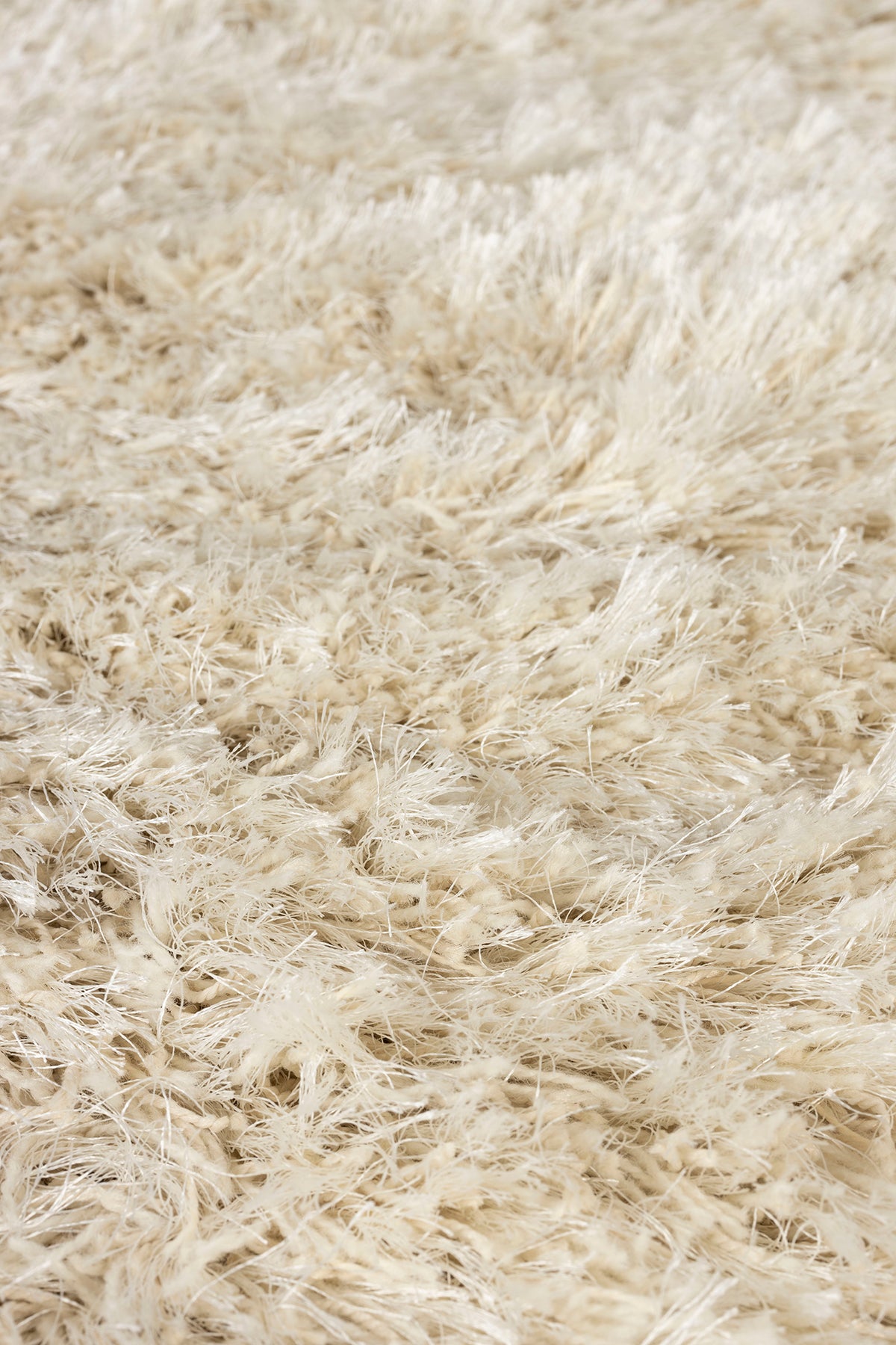 Tasty Carpet