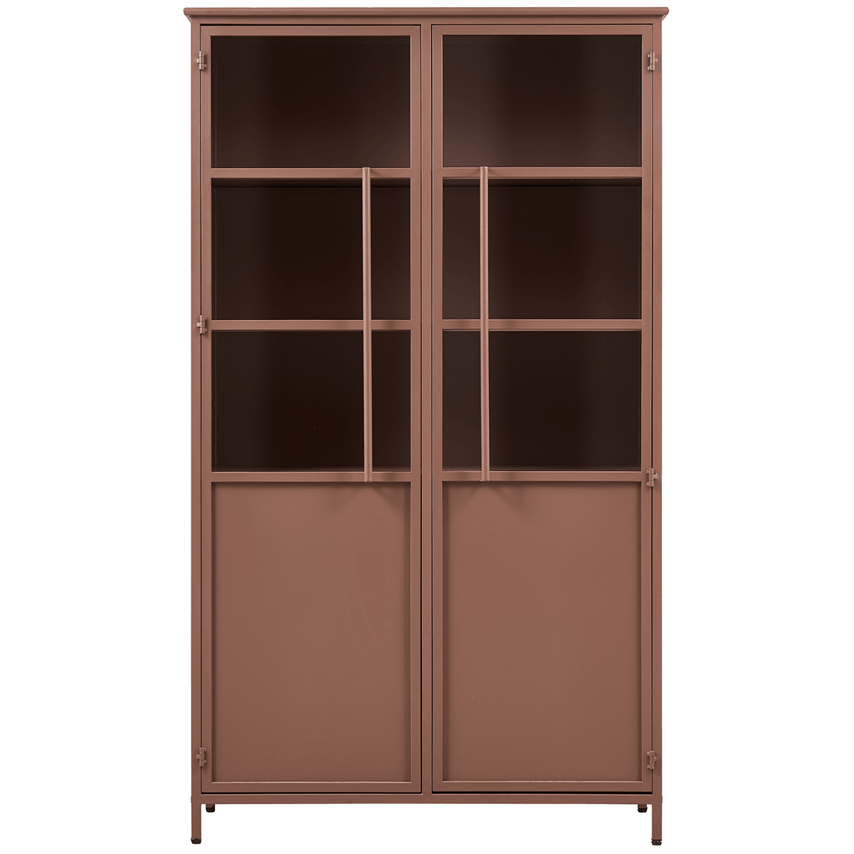 Exhibit Metal Cabinet