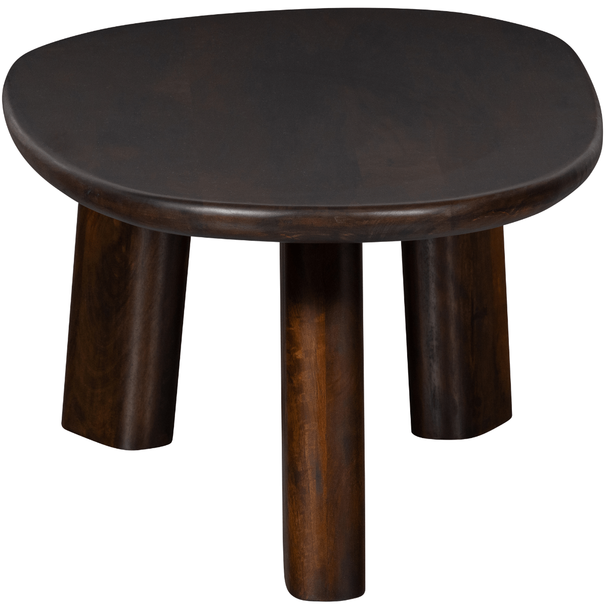 Roundly Mango Wood Coffee Table