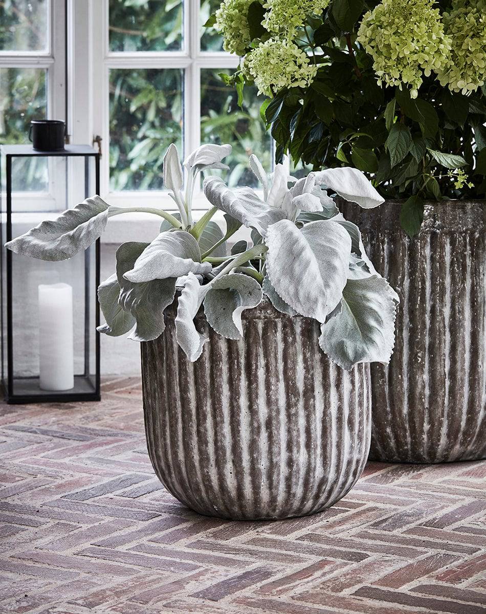 Pharao Grey/Brown Planter (2/Set)
